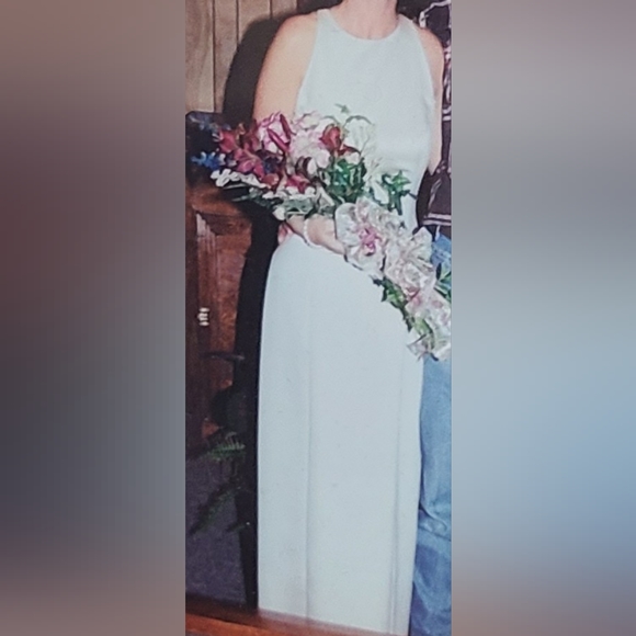 Vintage Alex E-v-e-n-i-n-g-s  Tea Length Dress Size 8 Taupe Sheer Back-Like New - Picture 7 of 7